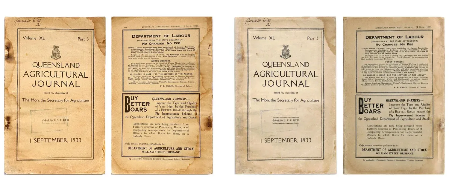 Journal Preservation